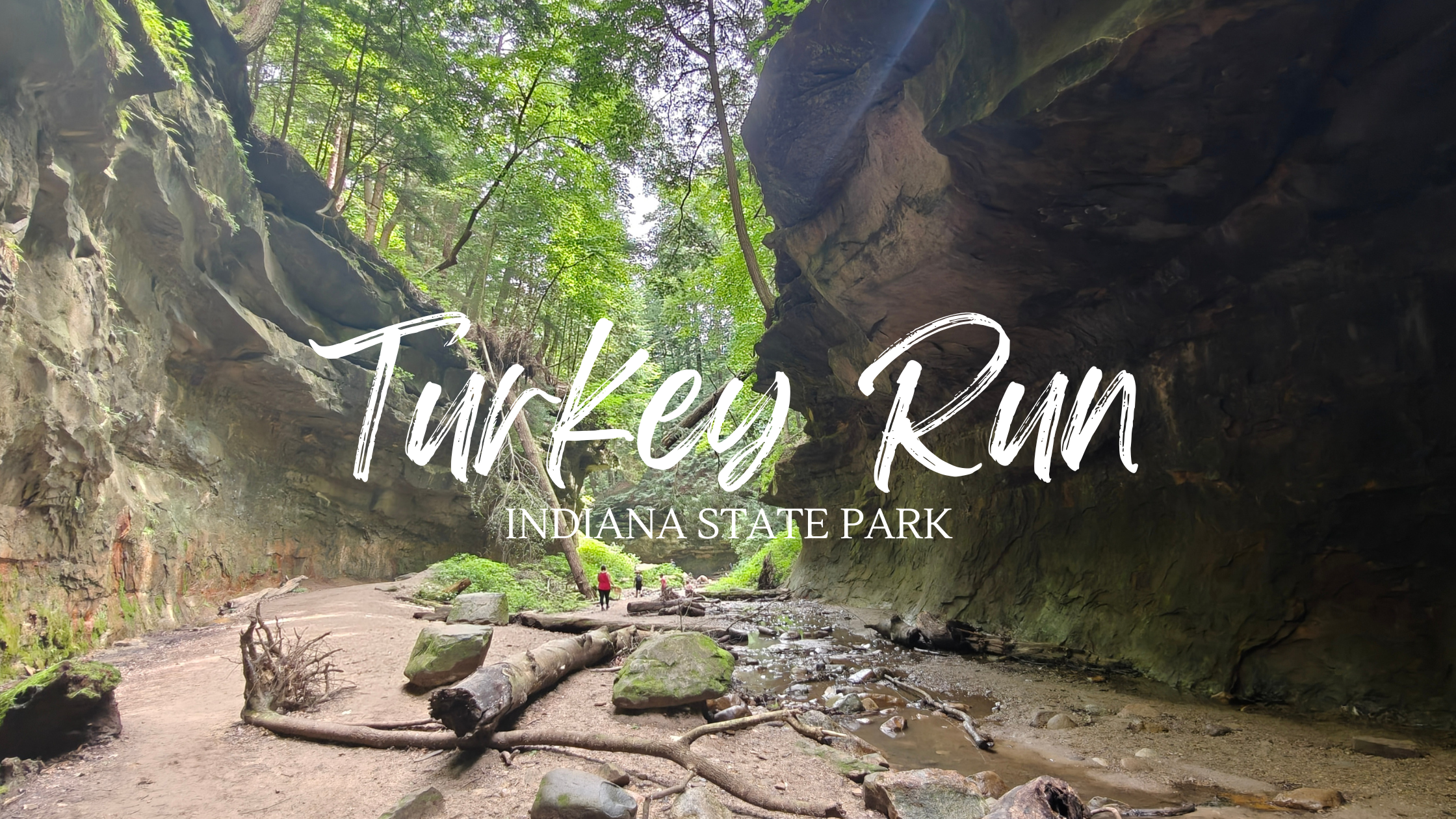 Running Turkeys