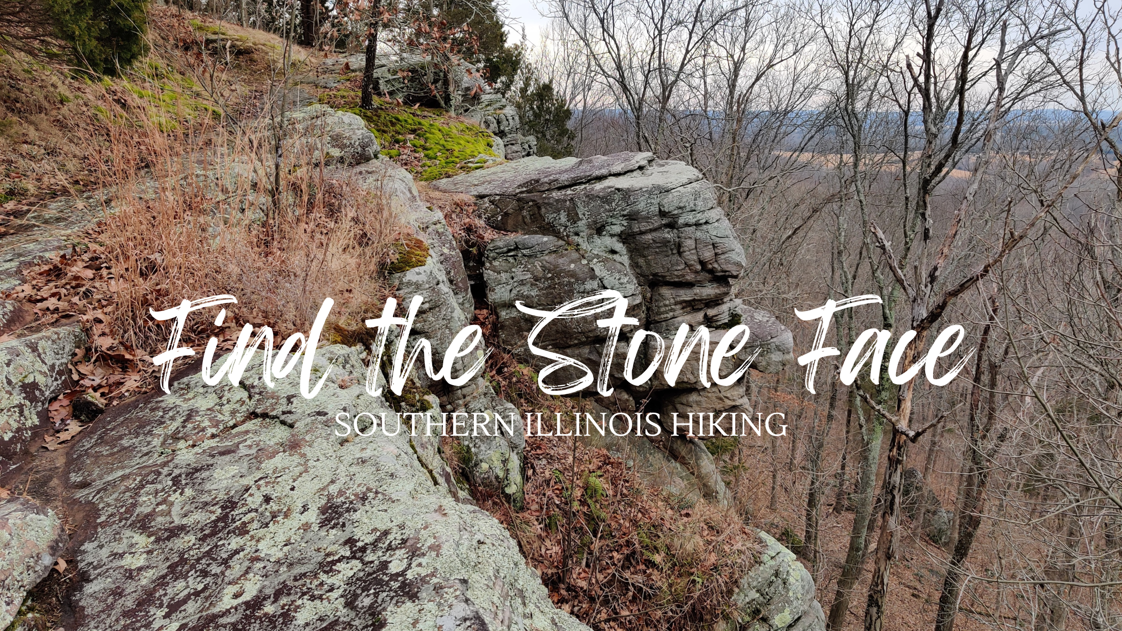 Visit Shawnee National Forest and Discover the Stone Face