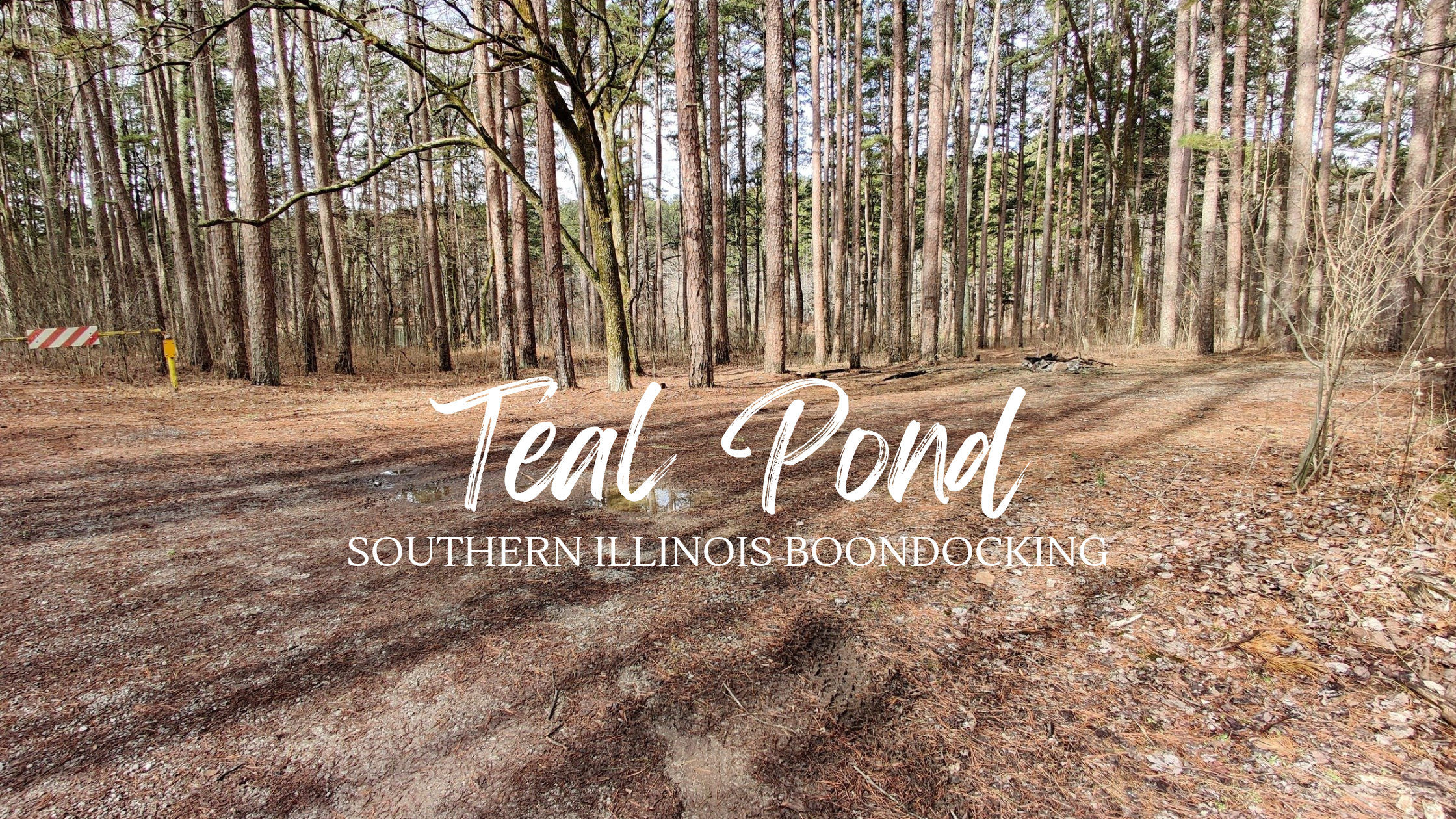 Our First Camper Trip: Lessons from Shawnee National Forest